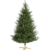 Van Der Gucht Arkansas Deluxe kunstkerstboom met houten voet 213 cm