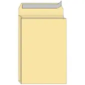 Quantore Envelop quantore monsterzak 262x371x38 170gr zk cr | Doos a 125 stuk