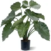 Maxifleur Kunstplanten Alocasia Calidora kunstplant 60cm