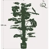 123flora.nl Monstera Deliciosa - kunstplant - 120 cm