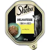Sheba 10x delicatesse in gelei 85 g kip