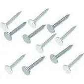 Homefix Asfaltnagel verzinkt 3.0x25mm 350 gram. . Kopspijkers.