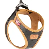 Curli Harnas Apple Leer, 2XS, Zwart (XXS, Hond, Algemeen), Kraag + Leiband