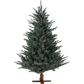 Molecule Our Nordic Christmas 31HARKB213 Arkansas Frosted Blue Wooden DB Base - 213 cm