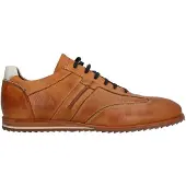 Will Lester 36305 Nette veterschoenen | Maat 42 Heren Bruin
