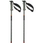 Salomon Polar Pro S3 Stokken