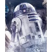 Star Wars Poster Star Wars the Last Jedi R2-D2 Droid 40x50cm