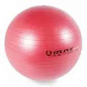Olive Fitness Fitbal