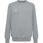 Hummel Sportief sweatshirt 'GO 2.0' stone grey / wit