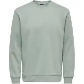 Only & Sons Sweatshirt 'ONSConnor' pastelgroen