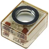 Blue Sea Systems Terminal Fuse Transparant 125A