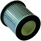 Champion Parts Caf3603 Luchtfilter