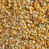Natural Economic met gerst 25 kg