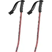 SCOTT Team Issue Gs Stokken