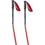Swix World Cup Pro Donwhill Stokken