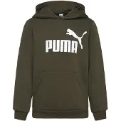Puma Ess Big Logo Hoodie