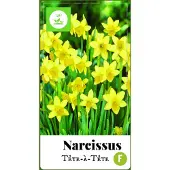 JUB Narcissus Tete-a-Tete bloembollen 50 bollen Narcis