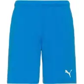 Puma Sportbroek 'TeamRise' azuur
