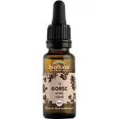 Biofloral Bachbloesems 13 Gaspeldoorn Bio 20 ml Druppels