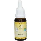 Bach Bloesem Beech bio 20 Milliliter