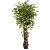 Emerald - Kunstplant Ficus Benjamina Liana Deluxe 205cm - Kunstplant voor binnen