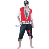 Vegaoo - Zwartbaard piraten outfit voor mannen