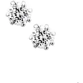 TFT Oorknoppen Zirkonia Zilver Glanzend