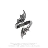 Alchemy Gothic - Gothic Ring - Night with the Goethe Ring - voor Vrouwen - zilverkleurig - Maat L-XL