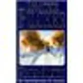 Hodder & Stoughton Winter solstice - R. Pilcher