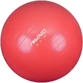Avento Oefen- en gymnastiekbal | Maat 55 cm