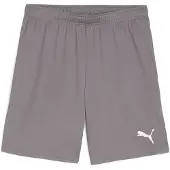 Puma Voetbalshorts teamGOAL - Grijs/Wit