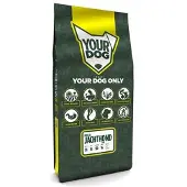 Yourdog Poolse Jachthond Pup - 12 Kg