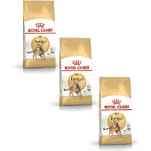 Royal Canin Bengal Adult - Kattenvoer - 3 x 2 kg