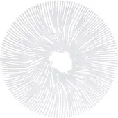 Koziol Schaal Anemone 32,8 X 4 Cm Wit