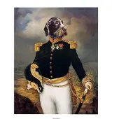 PGM Kunstdruk Thierry Poncelet - Ceremonial Dress 66x86cm