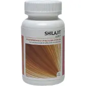 Ayurveda Health Ayu Health Shilajit (120 tabletten)