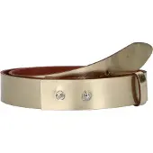 Vanzetti Riem goud
