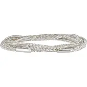 Vanzetti Riem zilver