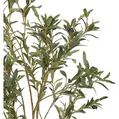 Beliani OLIVE TREE - Kunstplant - Groen - 153 cm - Synthetisch