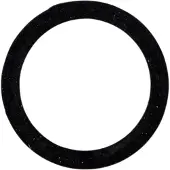 Elvedes O-ring Hayes banjo 2019114 (20x)