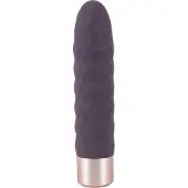 You2Toys - vibrator staaf - oplaadbaar - paars