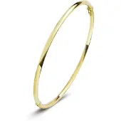 Fjory bangle recht 2mm/rond/geel