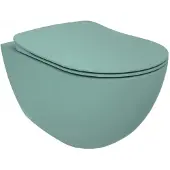 Boss & Wessing Wandcloset bws rimoff ophang toilet zonder bidet nijl groen