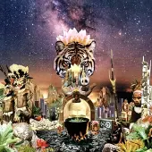 X RAY TIGRE QUI PLEURE