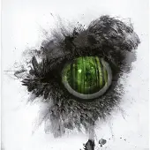 Swallow The Sun CD - Emerald forest and the blackbird - voor Geen - standaard | Maat Standard