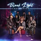 Bertus Distributie Black Light Collective