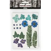 Creativ Company Gedroogde bloemen en bladeren Blauw