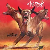 Virgin Music Group B V Cnt WILD DOGS