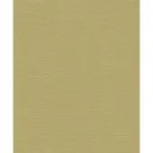 Dutch Wallcoverings Linnen Touch Plain - Green