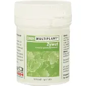 Dnh Zywut multiplant